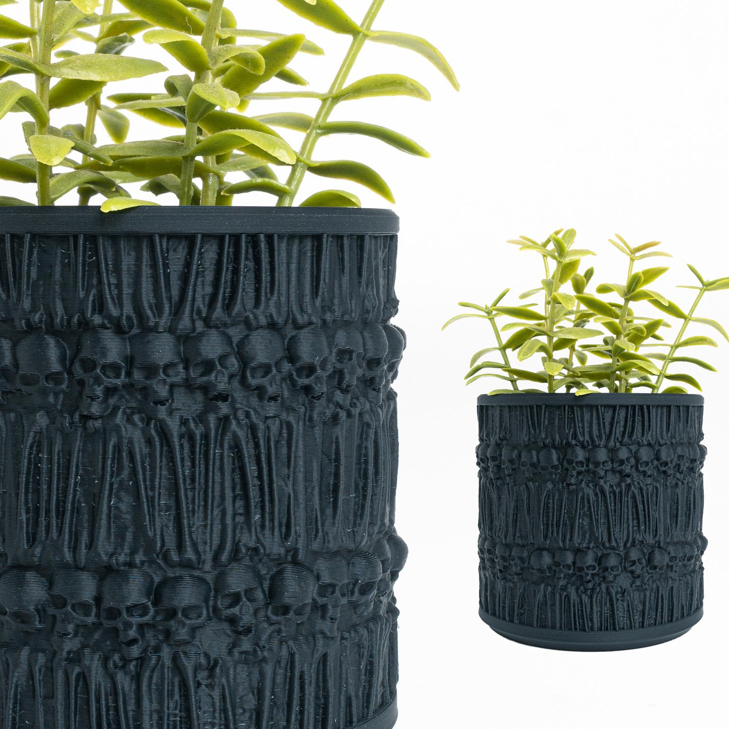 skulls-planter-round-1-1-01