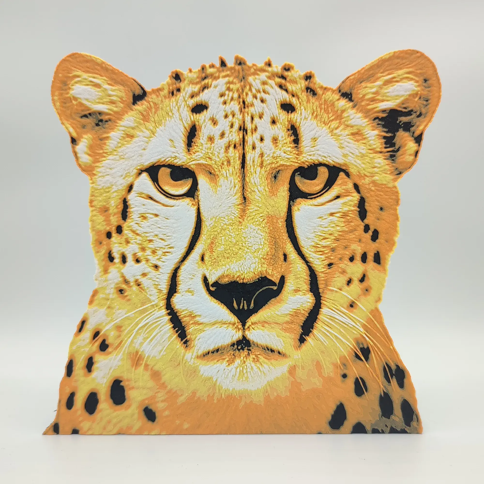 cheetah-hueforge